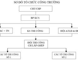 Biện pháp thi công bó vỉa, tấm đan, rãnh, vỉa hè, cây xanh